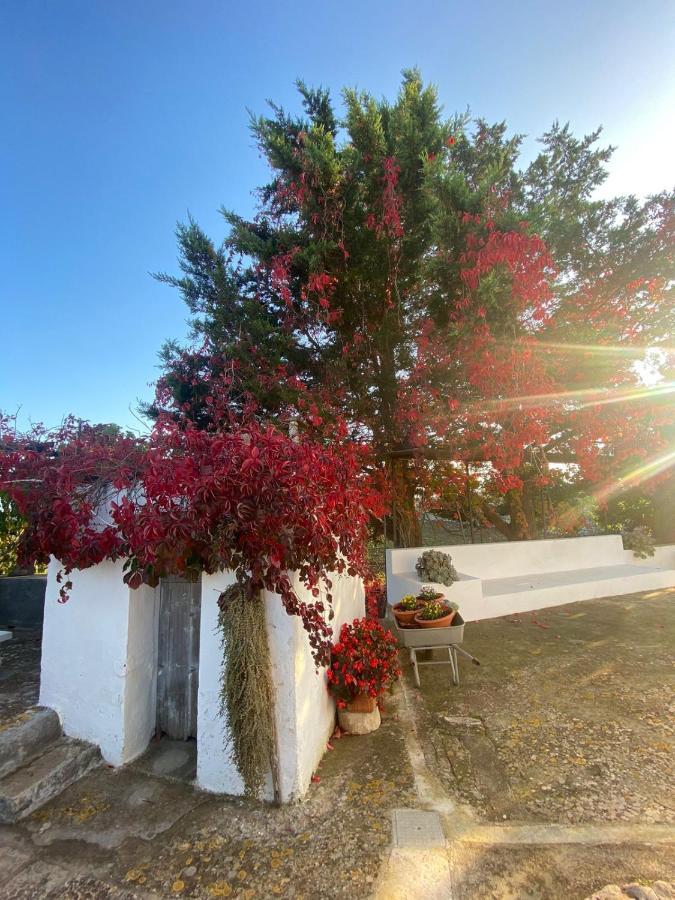 Villa Trulli Demetra Martina Franca Exterior foto